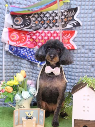 20230528ねねちゃん